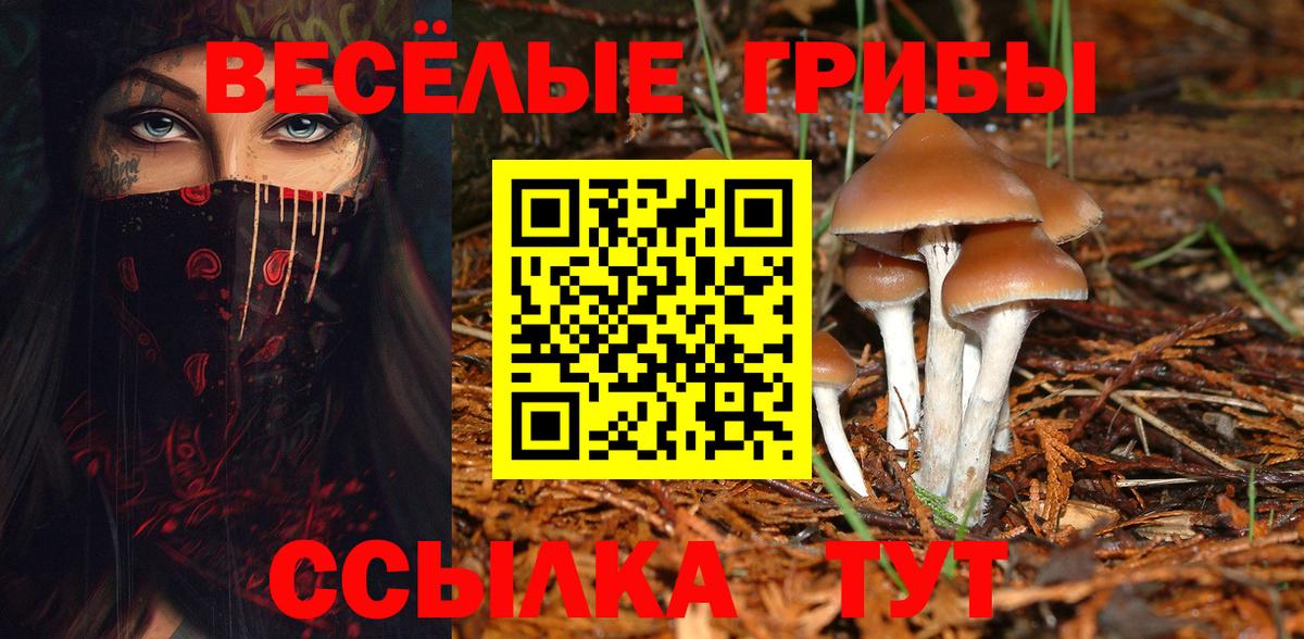 Рыбинск  Псилоцибиновые грибы Magic Shrooms  Вход с VPN 