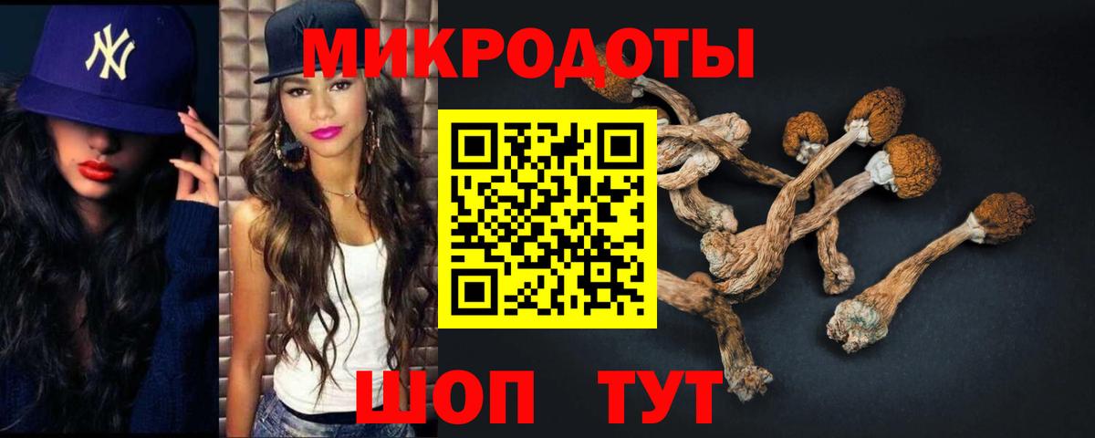 Псилоцибиновые грибы Psilocybe Рыбинск